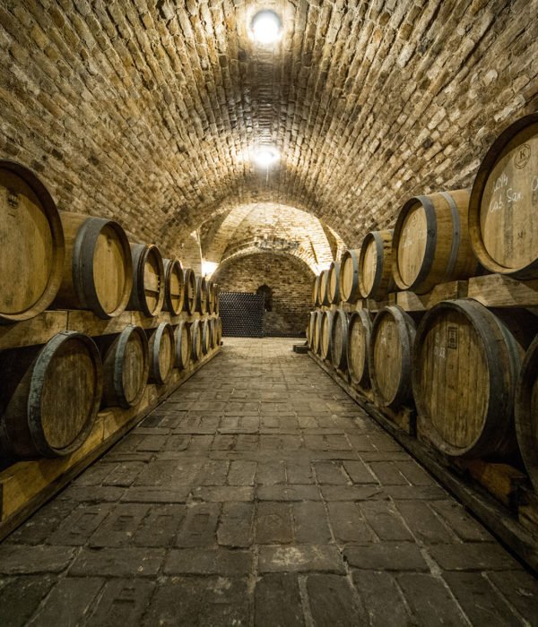Lake Balaton Wine Tour
