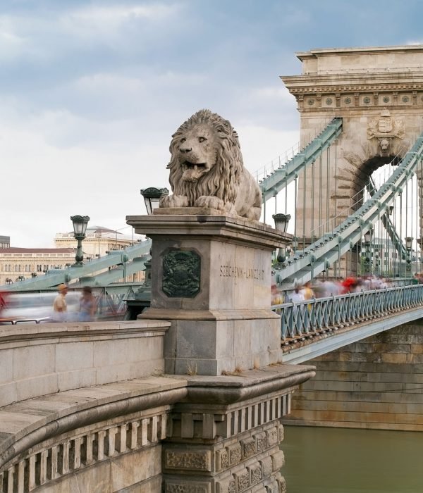 Budapest Private City Tour Chain Bridge