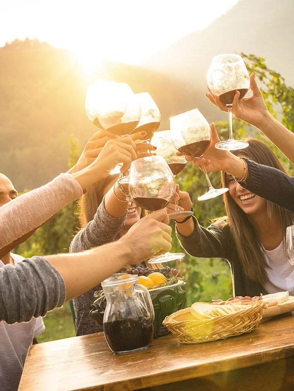 Eger Full Day Private Wine Tour From Budapest