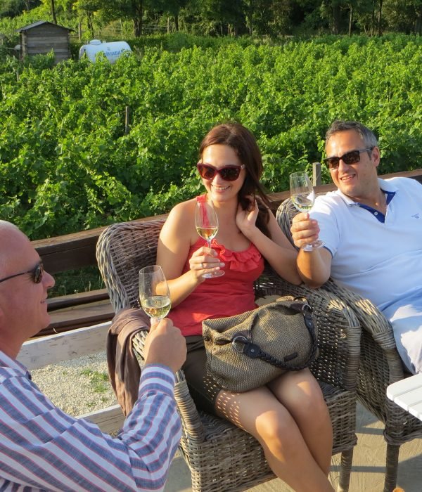 Half-day private wine-tasting tour of Etyek