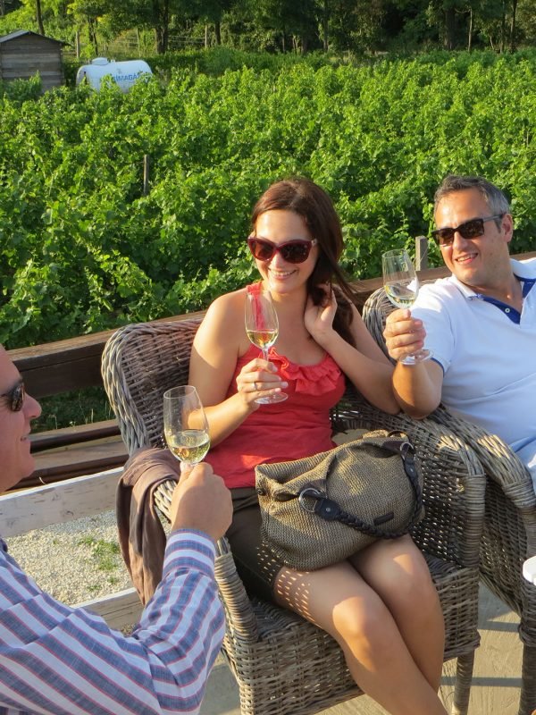 Half-day private wine-tasting tour of Etyek