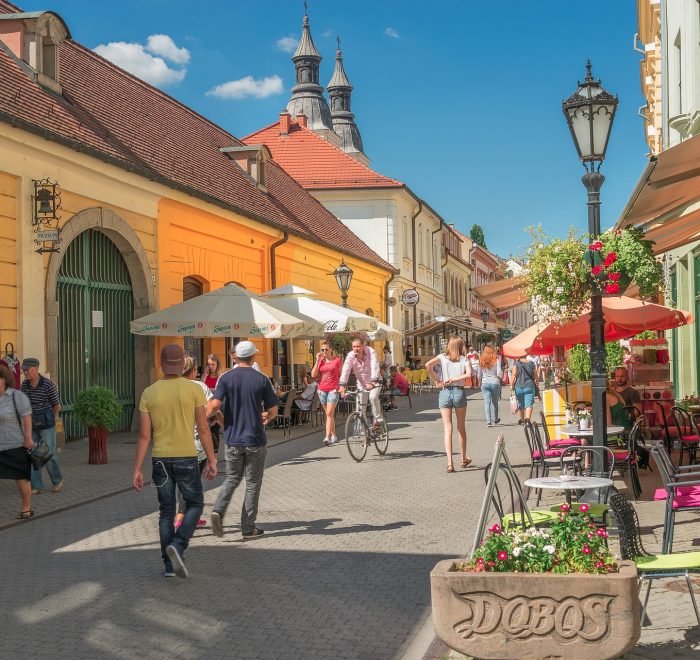 Full-day wine-tasting tour in Eger