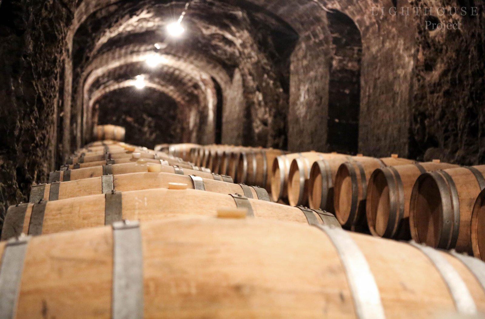 Tokaj Full Day Private Wine Tour from Budapest