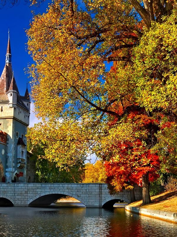 Budapest Private Walking Tour – Vajdahunyad Castle