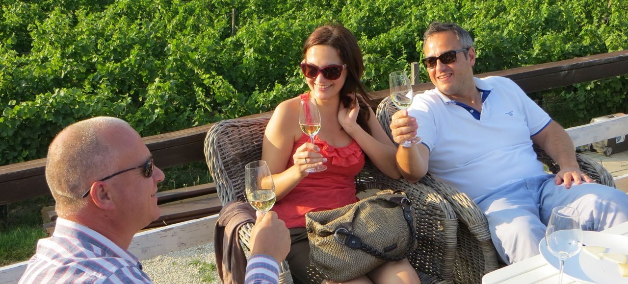Half-day private wine-tasting tour of Etyek