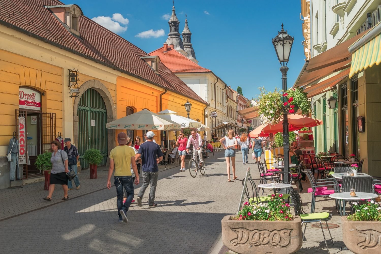 Full-day wine-tasting tour in Eger