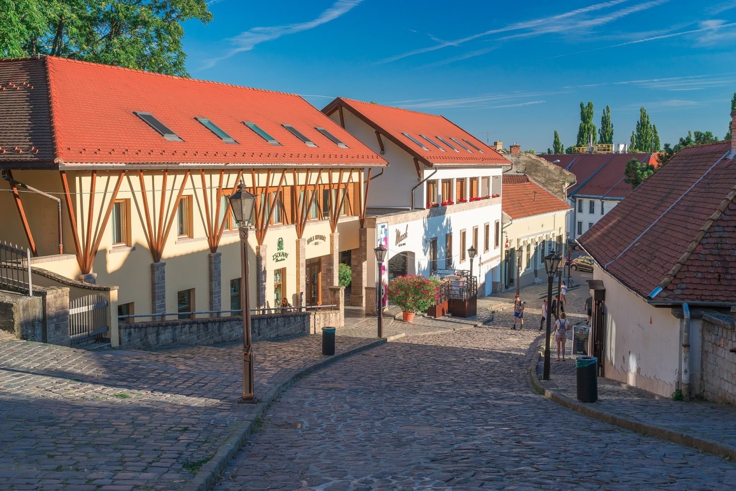Full-day wine-tasting tour in Eger
