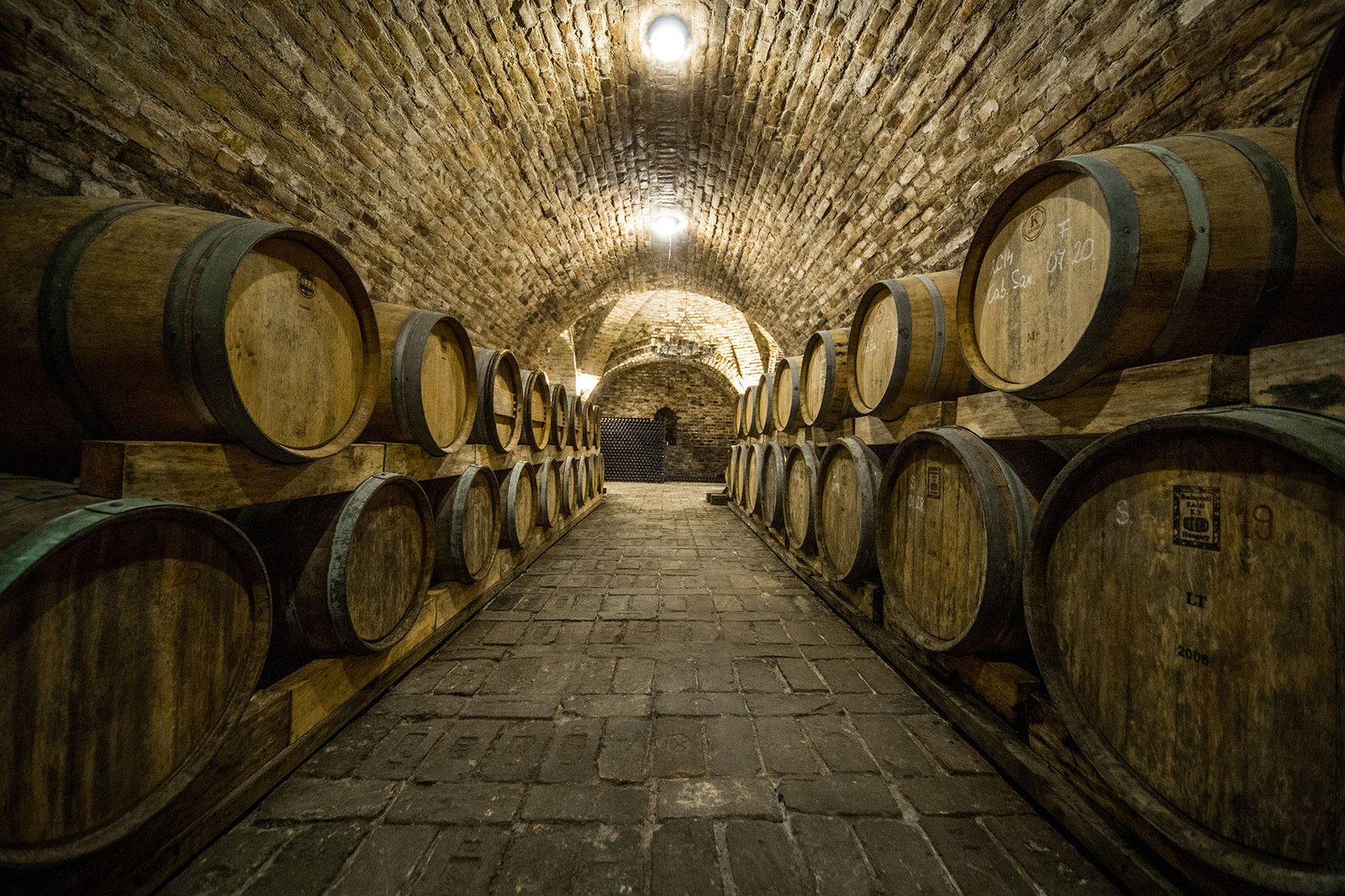 Lake Balaton Full Day Wine Tour With Lunch
