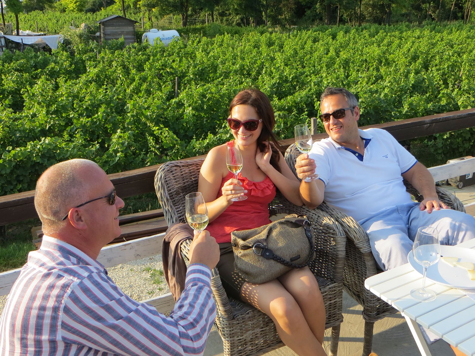 Etyek Half Day Private Wine Tour
